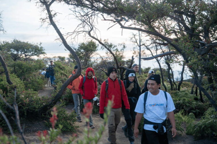 from-surabaya-or-malang-bromo-ijen-english-guide-tour