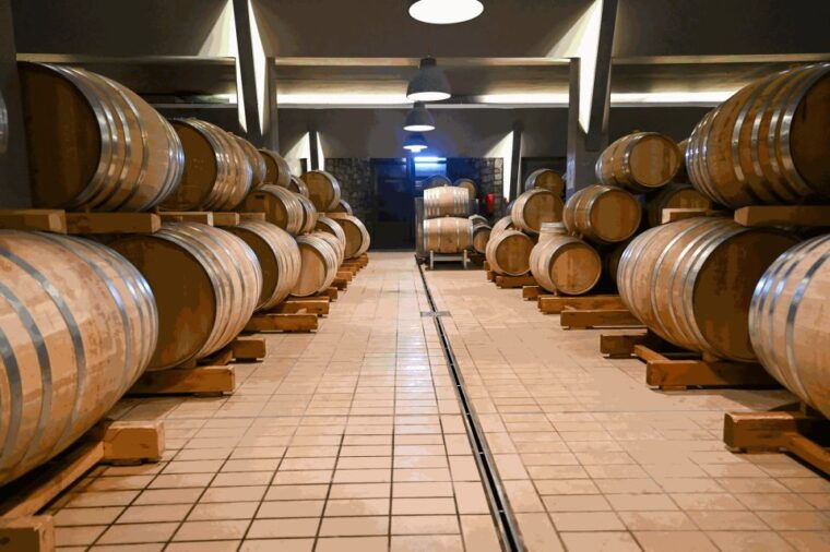 from-thessaloniki-pella-edessa-naousa-wine-tasting