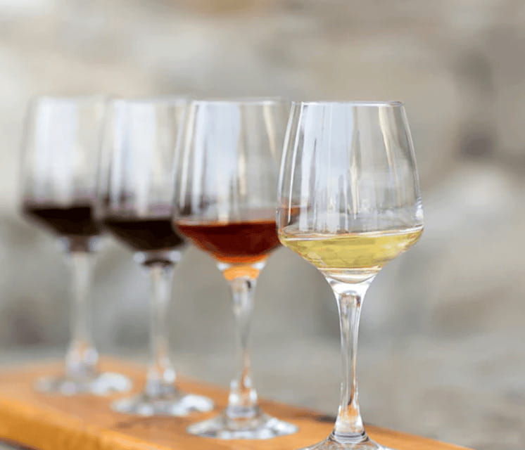 from-toronto-niagara-wine-tours