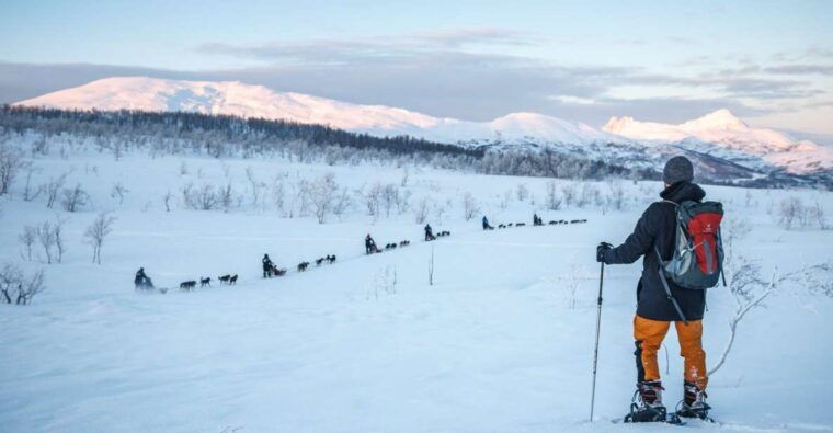 from-tromso-guided-husky-snowshoe-hike-and-husky-camp-visit