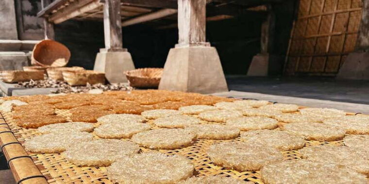 from-ubud-downhill-bike-tour-with-rice-terraces-and-meal