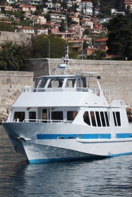 from-villefranche-sur-mer-guided-dolphin-watching-tour