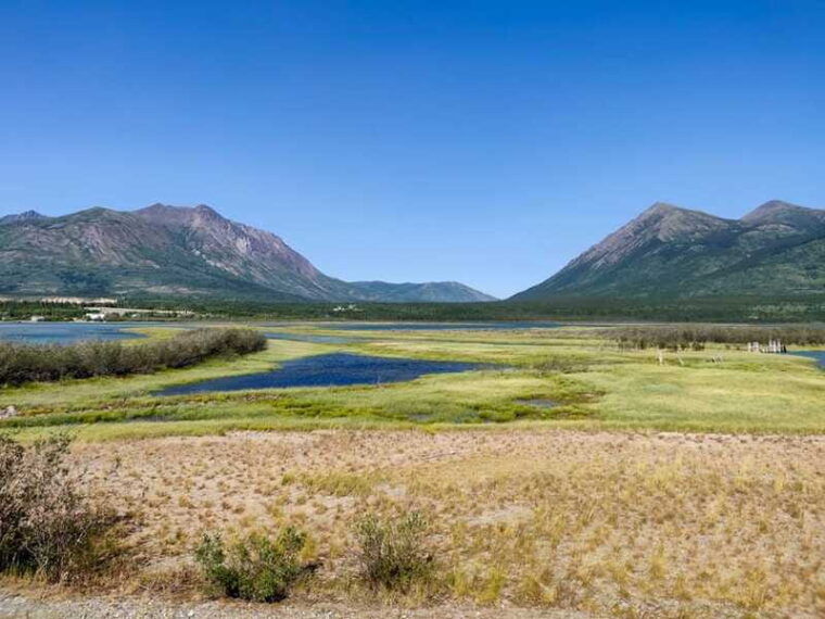 from-whitehorse-skagway-day-trip-2