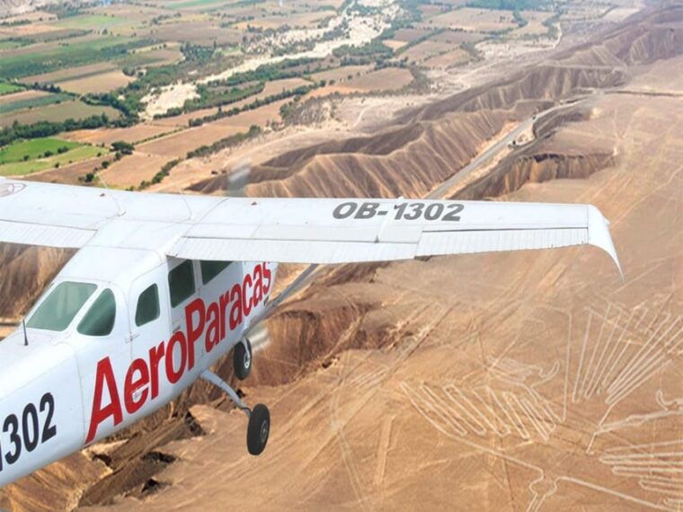full-day-ballestas-islands-nasca-nasca-lines-overflight