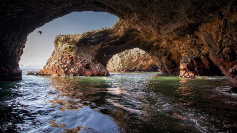 full-day-ballestas-islands