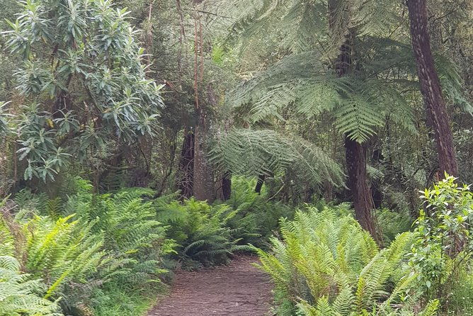 Full-Day Dandenong Ranges Tour with Pickup from Melbourne - Who Is This Tour Best For?