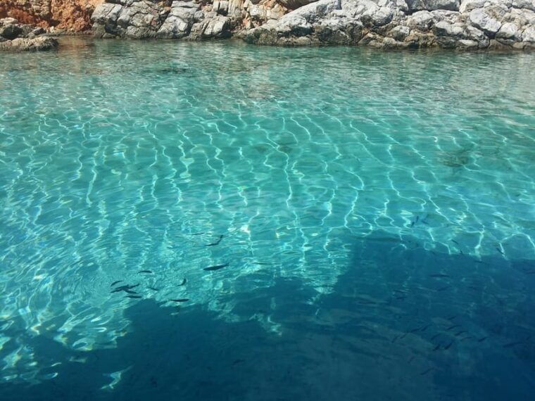 full-day-orak-island-boat-trip-from-bodrum