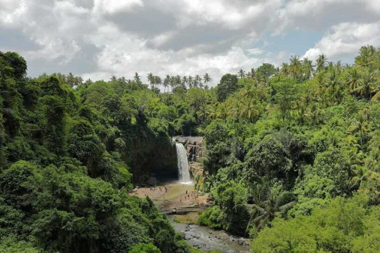 full-day-tour-to-explore-ubud-with-private-car