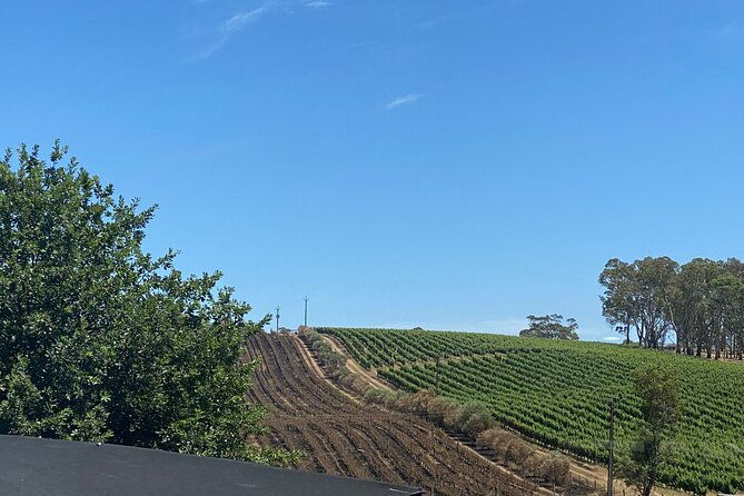 Full-Day VIP Hahndorf and McLaren Vale Private Car Tour - Practical Details and Considerations