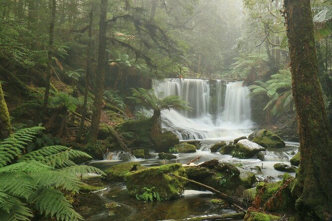 Full-Day Waterfalls, Wilderness & Wildlife Hobart Tour - What We Like About This Experience