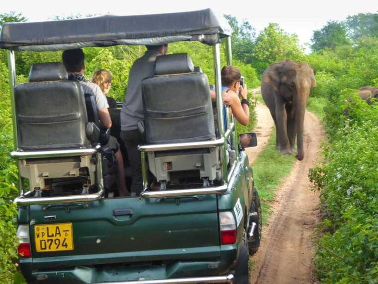 galle-all-inclusive-morning-leopard-safari-in-yala-private