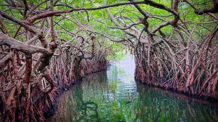 galle-and-bentota-day-tour-from-colombo-or-negombo