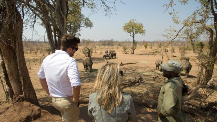 game-drive-and-white-rhino-walking-safari-in-livingstone
