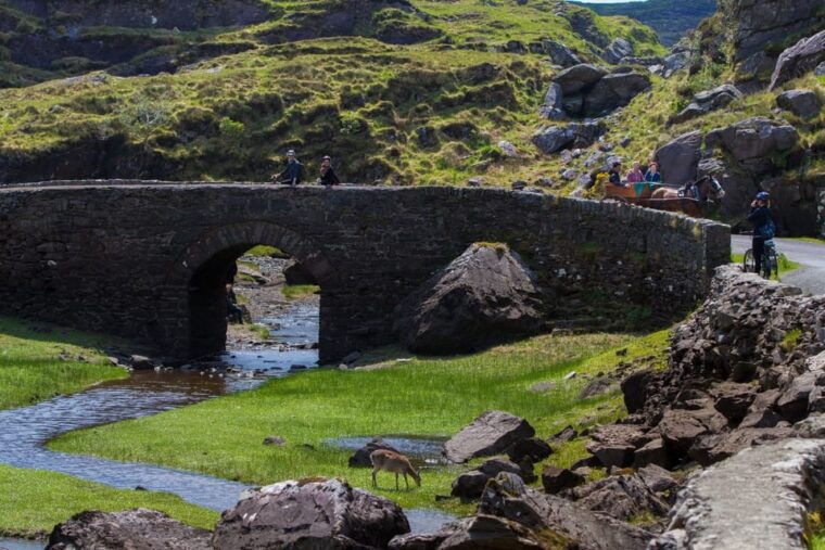 gap-of-dunloe-lakes-of-killlarney-boat-tour