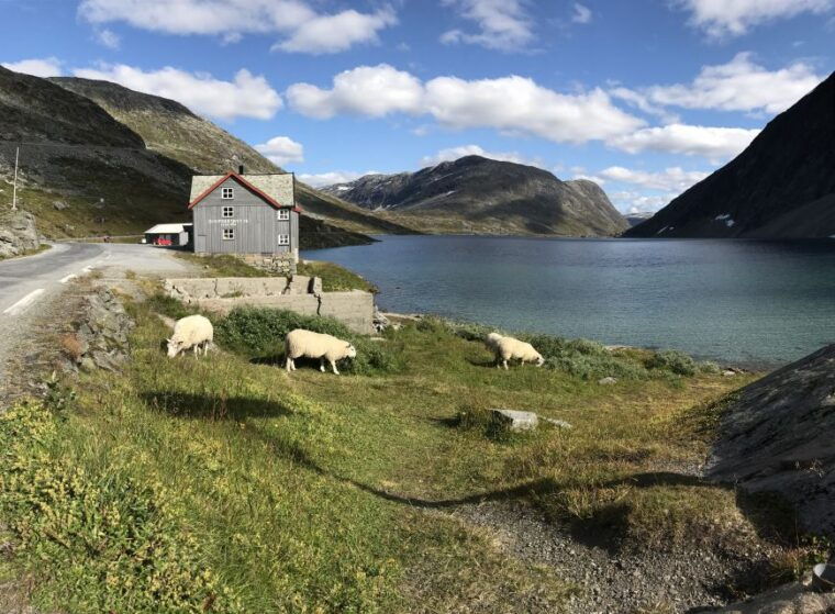 geiranger-dalsnibba-flydalsjuvet-eagle-bend-fjords-tour