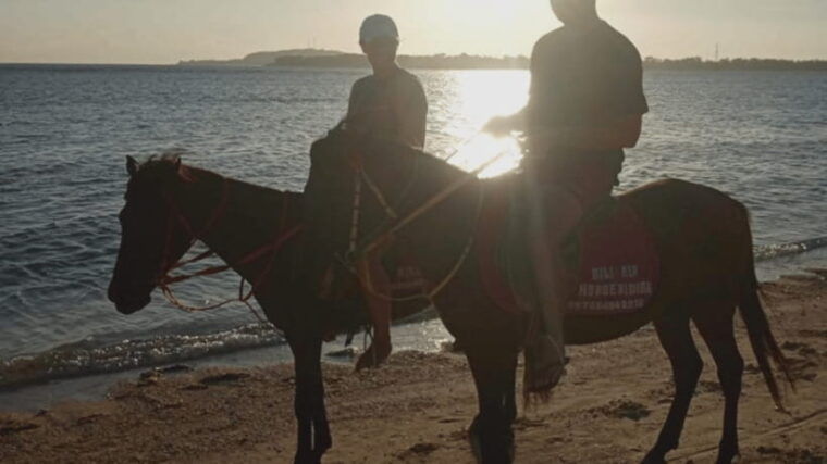 gili-air-1-hour-horse-riding-adventure