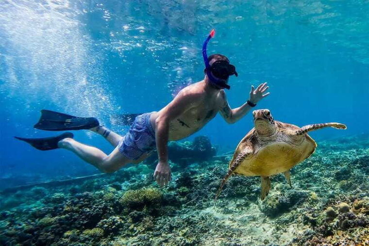 gili-islands-lombok-4-hour-private-group-snorkeling-trip