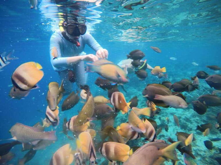 gili-islands-private-snorkeling-boat-tour-with-local-guide