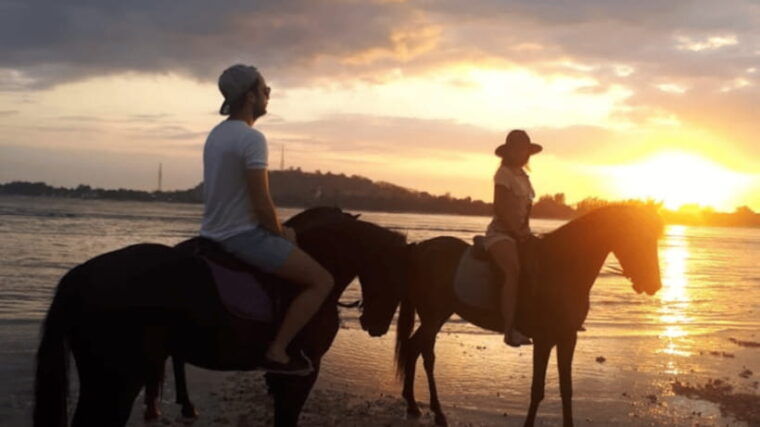 gili-meno-1-hour-horse-riding-adventure