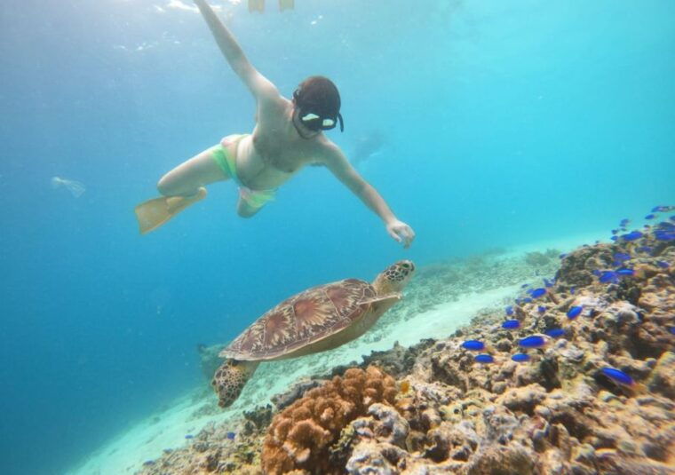 gili-t-island-the-thrilling-sunset-snorkeling-adventure