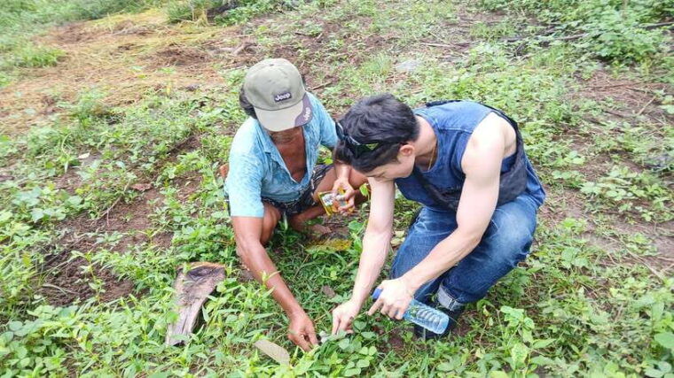 gili-trawangan-magic-mushroom-tour-with-jungle-breakfast