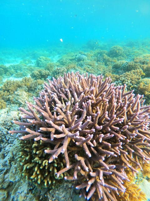 gili-trawangan-private-snorkeling-sunrise-and-sunset-tour