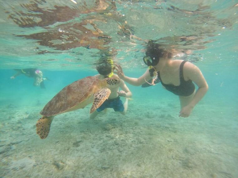 gilitrawanganprivate-tour-3-spot-statuecoral-reefturtle