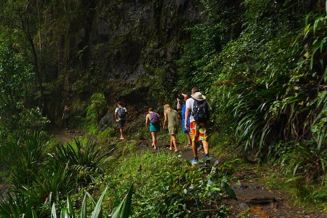 Glow Worms Private Tour - Nocturnal Rainforest Walk - FAQ