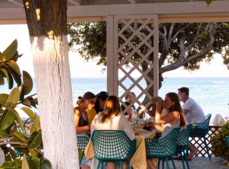 greek-food-tasting-experience