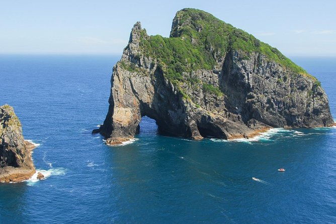 Group tour to Bay of Islands return from Auckland - FAQ
