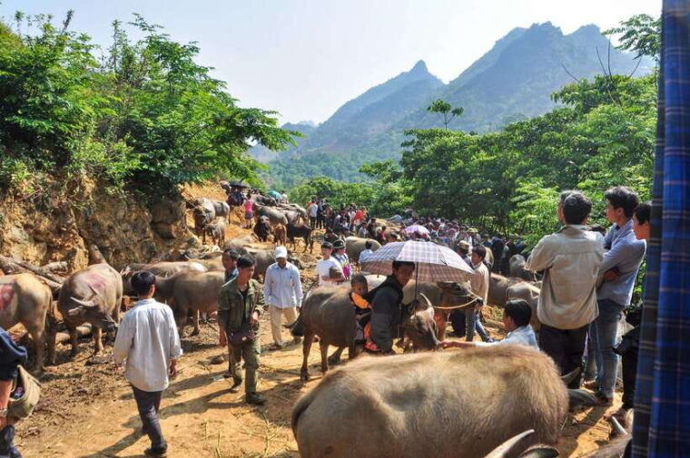group-tour-trekking-on-vietnams-hidden-trails-13d12n