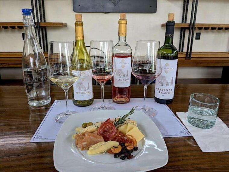 guanajuato-the-remedios-vineyard
