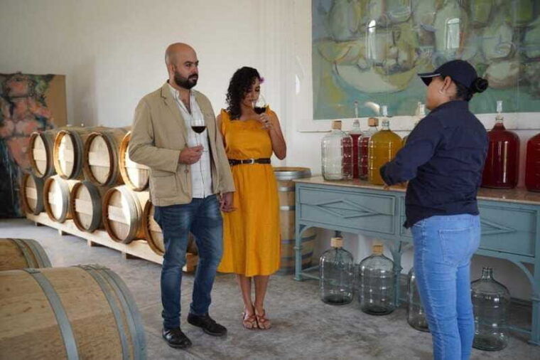 guided-tour-and-tasting-of-4-wines-at-vinedo-dos-buhos