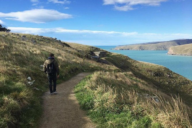 Guided Walking Tour & Scenic Drive - Lyttelton & Godley Head - Final Words