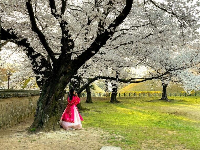 gyeongju-unesco-highlights-tour-with-guide-and-ticket