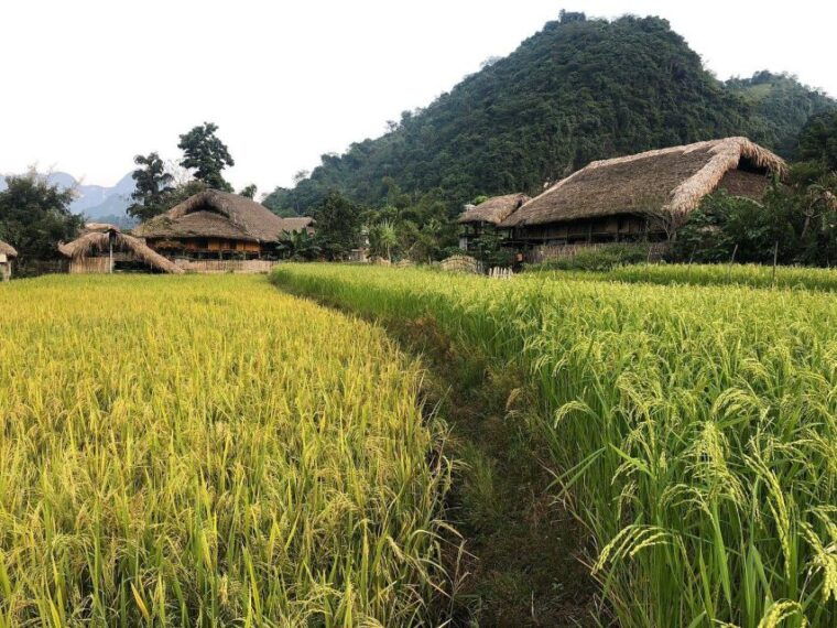 ha-giang-trekker-in-3d3n