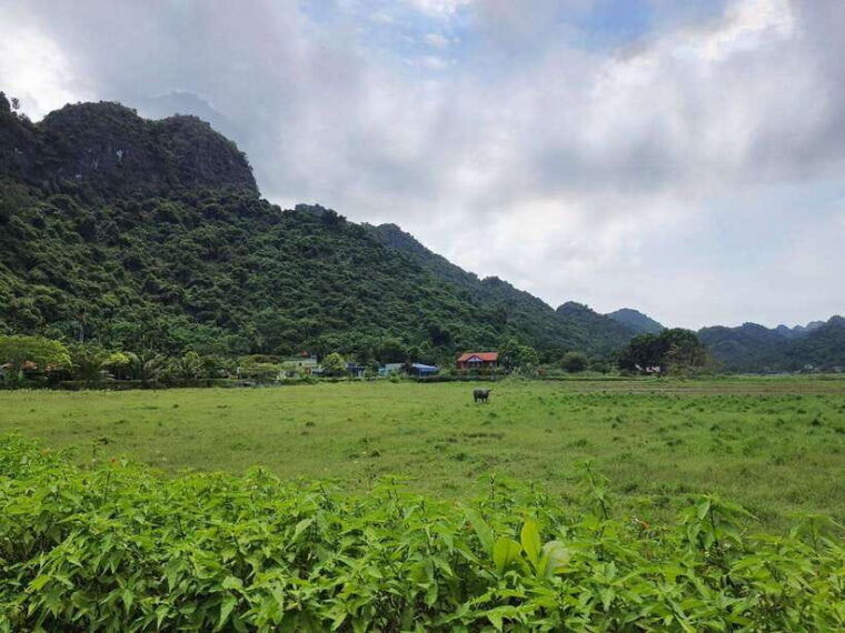 ha-noi-cat-ba-island-ninh-binh-3days-2nights-tour