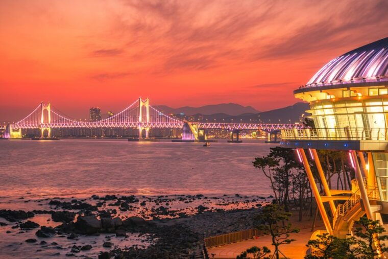 haedong-yonggungsa-temple-camellias-island-more