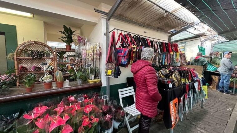 half-day-country-market-tour-on-madeira-island