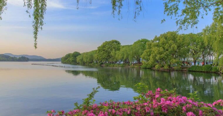 hangzhou-west-lake-and-tea-plantation-day-trip