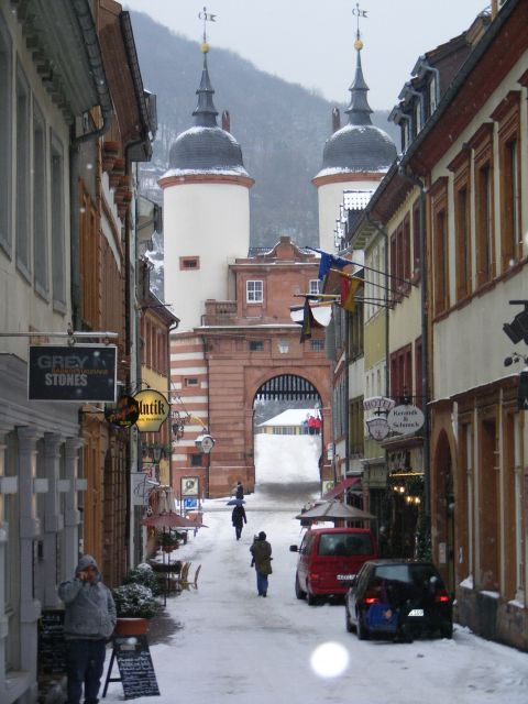 heidelberg-2-hour-crime-tour-with-costumed-guide