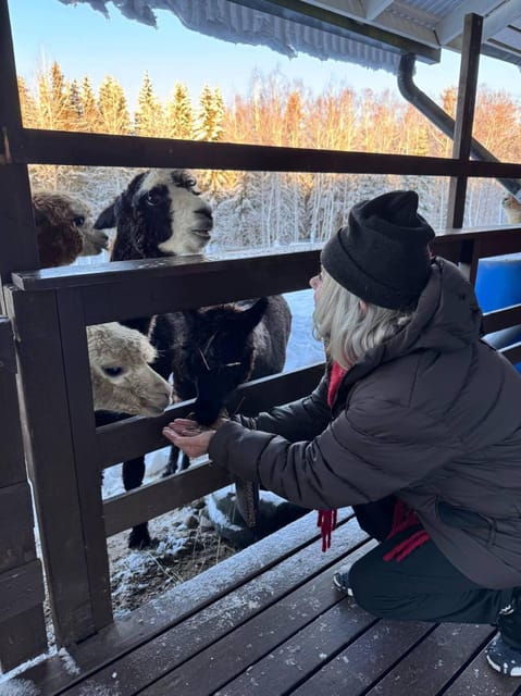 helsinki-alpaca-farm-tour-with-guided-walk-private