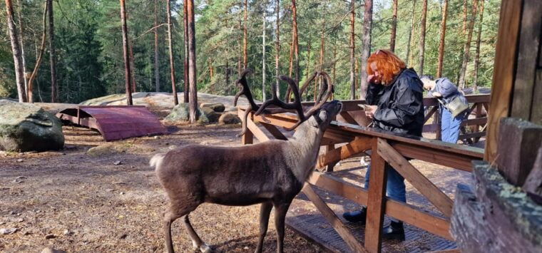 helsinki-highlightsnuuksio-buggy-ridereindeer-farm-visit
