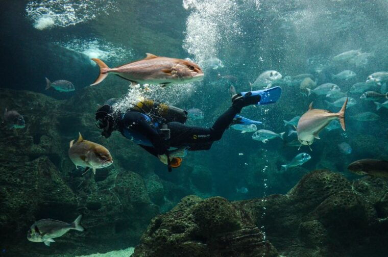 heraklion-heraklion-market-cretaquarium-skip-the-line