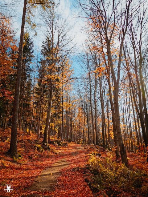 hike-in-polish-mountains-day-trip-to-rudawy-janowickie