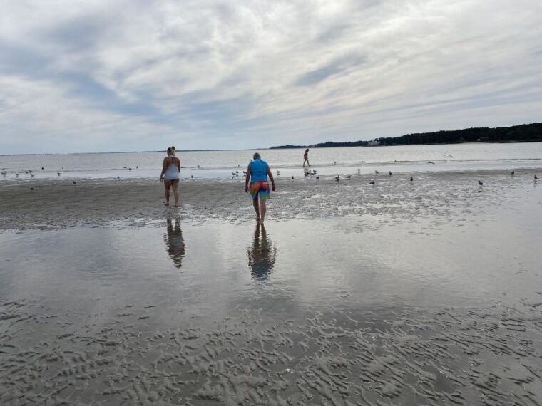 hilton-head-island-disappearing-island-and-dolphin-tour