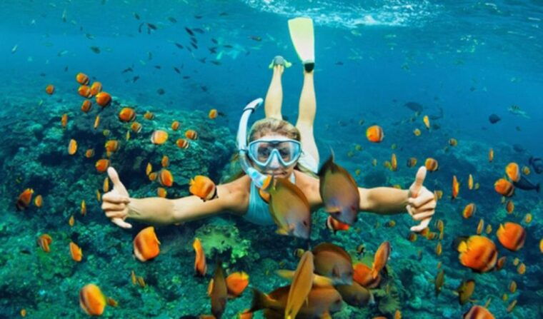 hoi-an-cham-islands-snorkeling-trip-by-speedboat-with-lunch