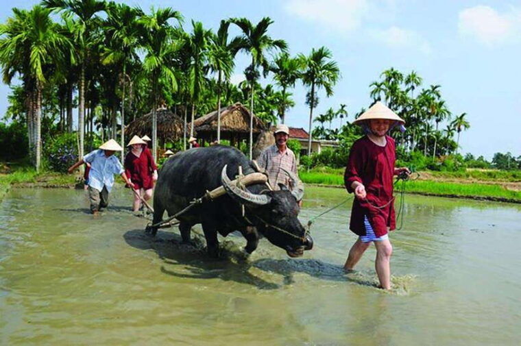 hoi-an-farming-and-fishing-tour-with-basket-boat-ride