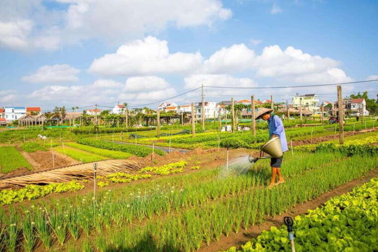 hoi-an-half-day-farm-to-table-adventure-in-tra-que-village