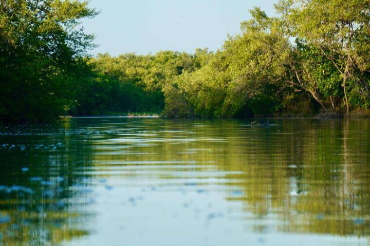 holbox-mangrove-sunset-kayak-tour